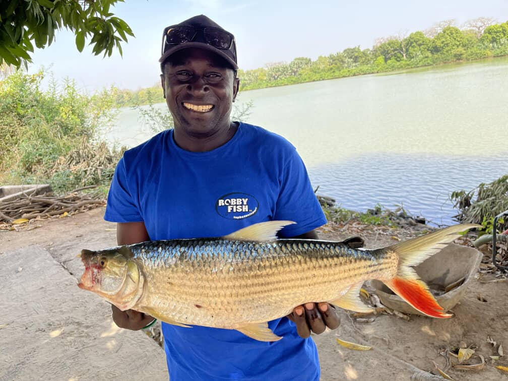 Tiger fish
