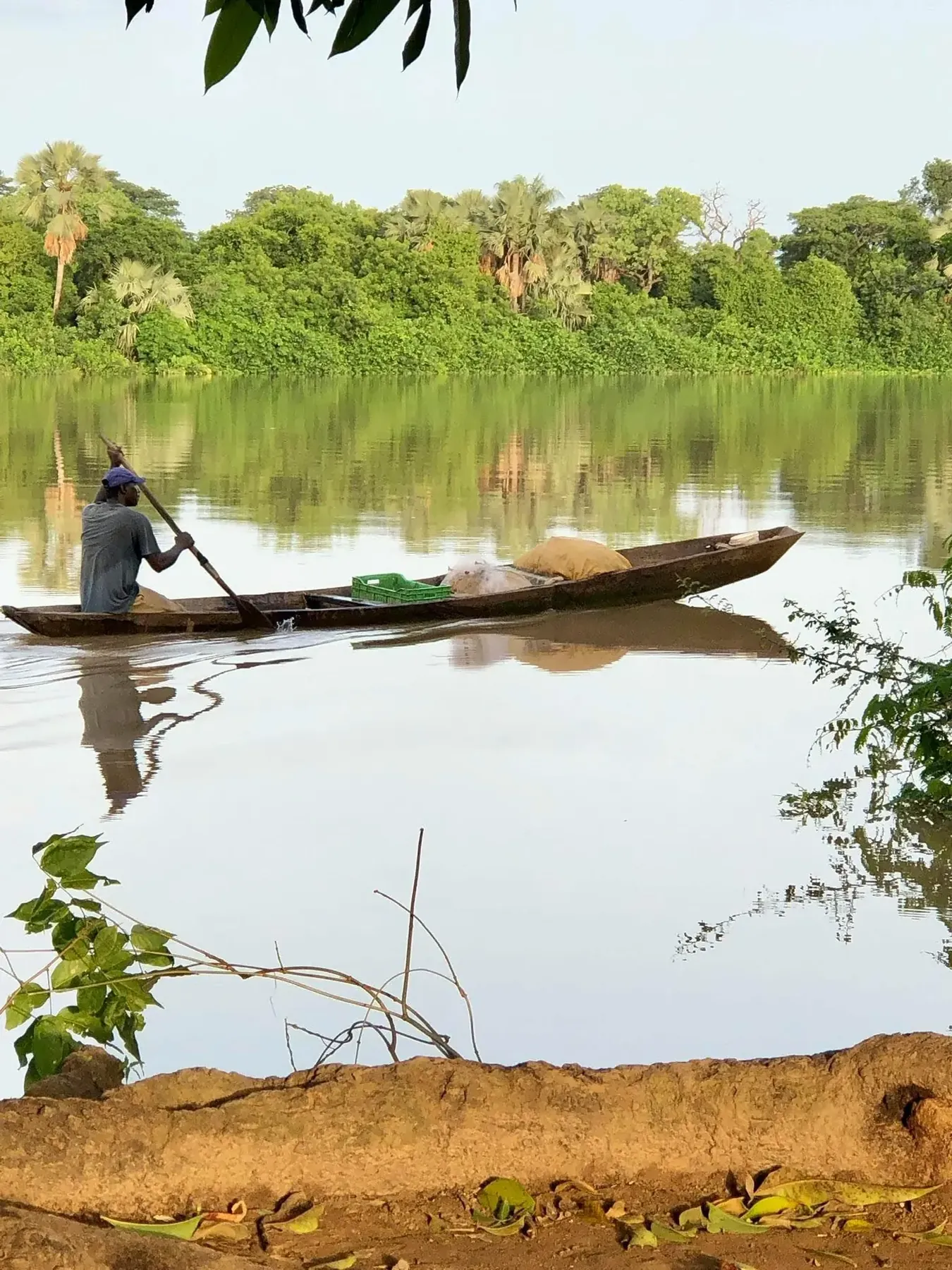 Garden and grounds at Riverside Lodge Bansang in Central Gambia